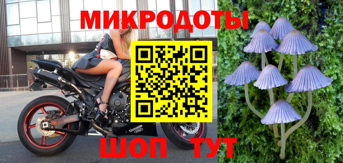 Обь  Псилоцибиновые грибы Psilocybine cubensis  Вход с VPN  Псилоцибиновые грибы GOLDEN TEACHER 